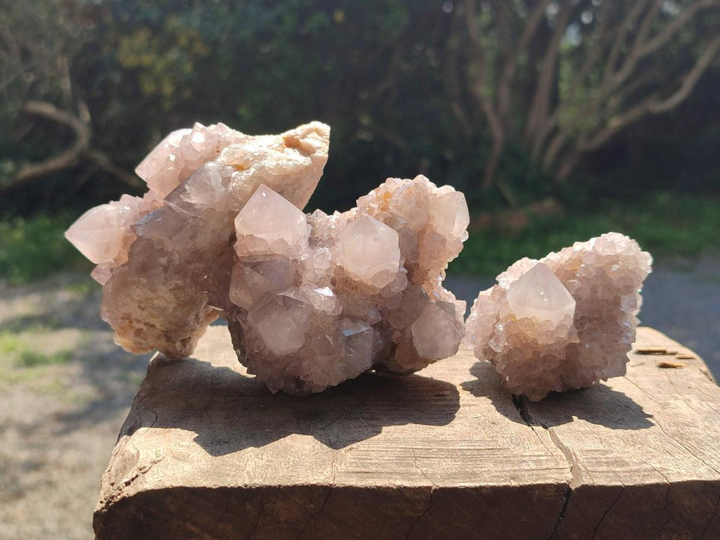 Natural Lilac Spirit Amethyst Clusters x 6 From Boekenhouthoek, South Africa - Toprock Gemstones and Minerals 