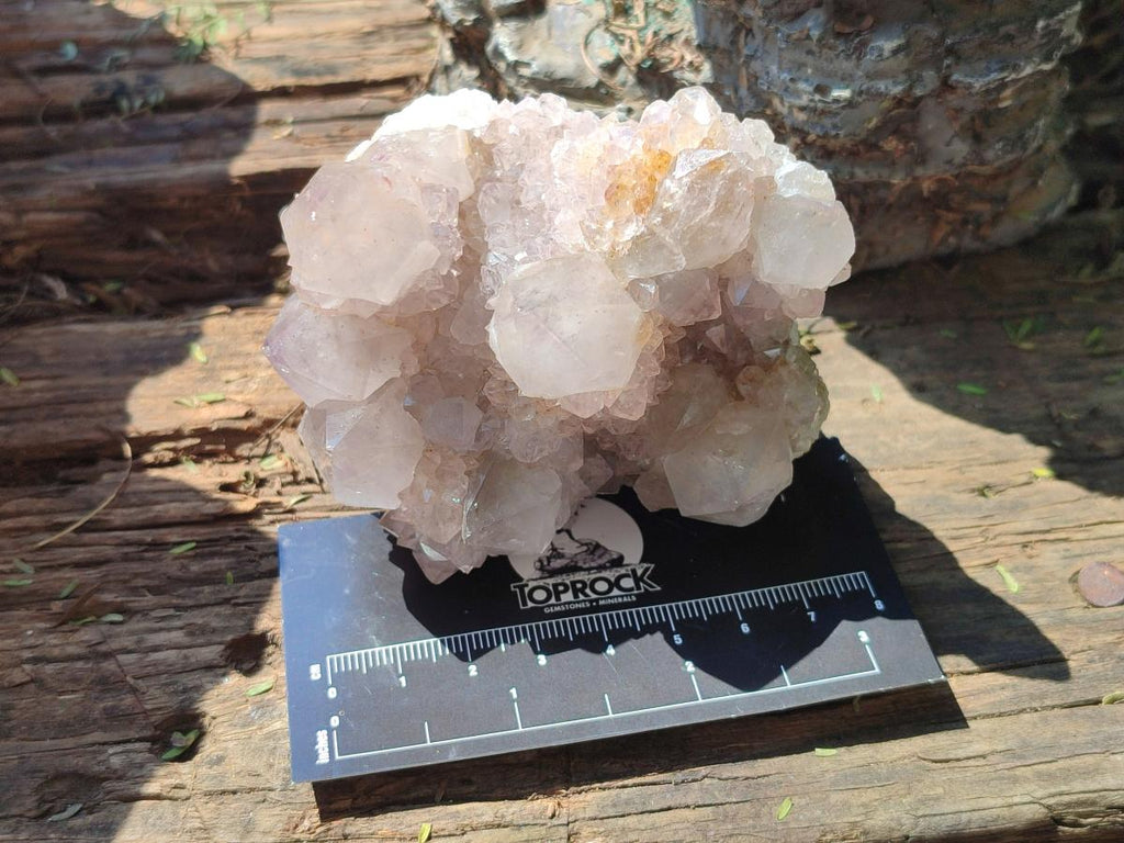 Natural Lilac Spirit Amethyst Clusters x 6 From Boekenhouthoek, South Africa - Toprock Gemstones and Minerals 