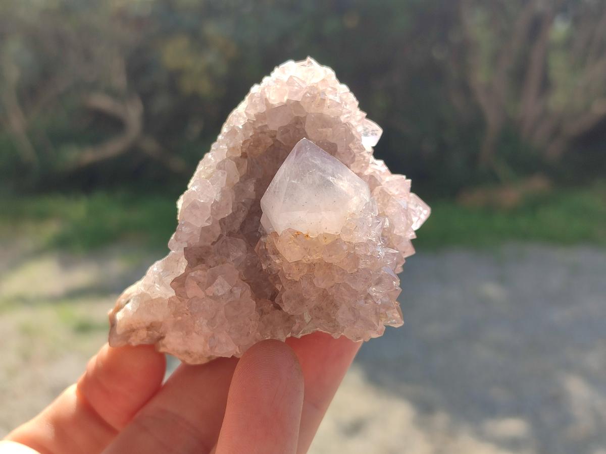 Natural Lilac Spirit Amethyst Clusters x 6 From Boekenhouthoek, South Africa - Toprock Gemstones and Minerals 