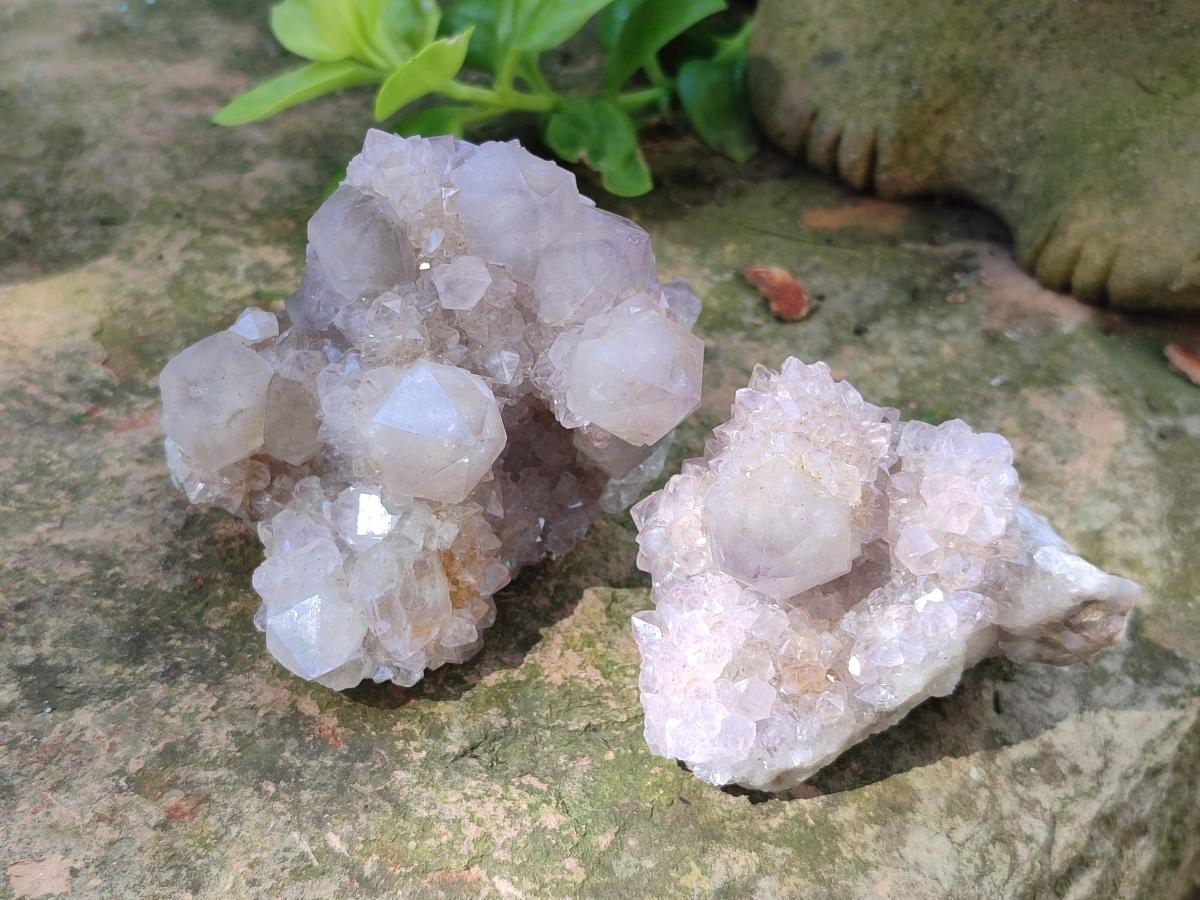 Natural Lilac Spirit Amethyst Clusters x 6 From Boekenhouthoek, South Africa - Toprock Gemstones and Minerals 