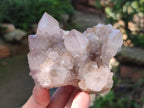 Natural Lilac Spirit Amethyst Clusters x 6 From Boekenhouthoek, South Africa - Toprock Gemstones and Minerals 