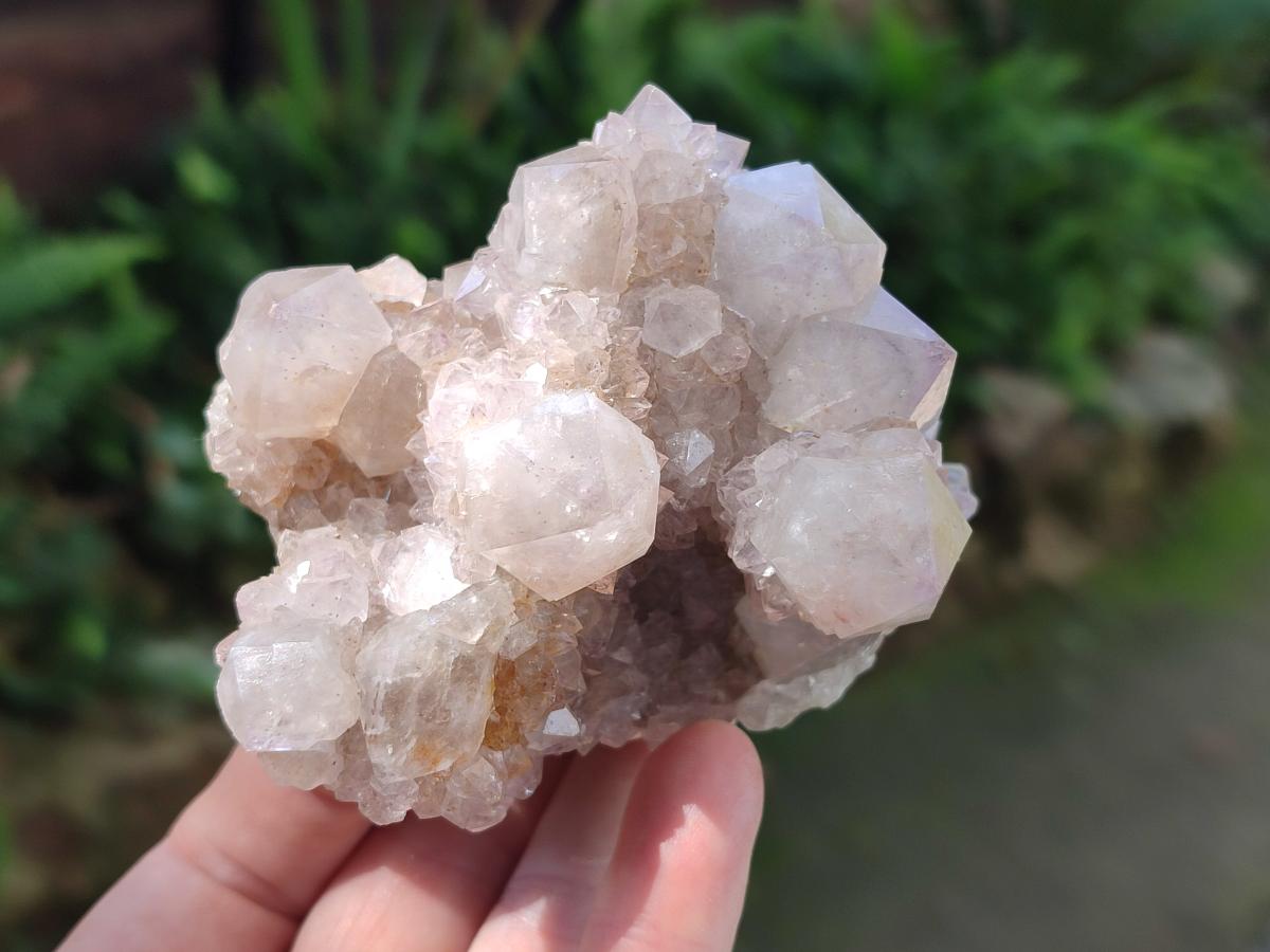 Natural Lilac Spirit Amethyst Clusters x 6 From Boekenhouthoek, South Africa - Toprock Gemstones and Minerals 