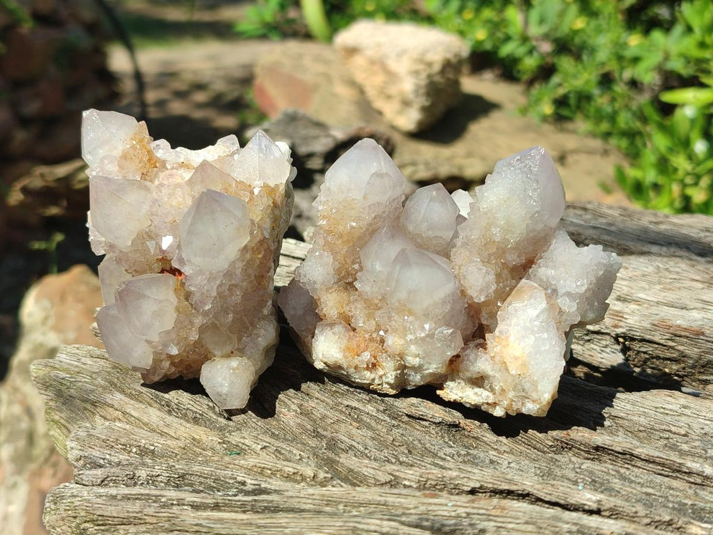 Natural Lilac Spirit Amethyst Clusters x 6 From Boekenhouthoek, South Africa - Toprock Gemstones and Minerals 