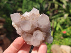 Natural Lilac Spirit Amethyst Clusters x 6 From Boekenhouthoek, South Africa - Toprock Gemstones and Minerals 