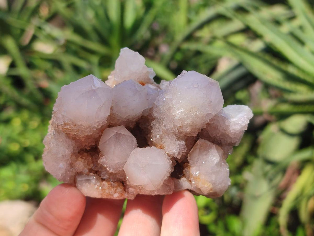 Natural Lilac Spirit Amethyst Clusters x 6 From Boekenhouthoek, South Africa - Toprock Gemstones and Minerals 