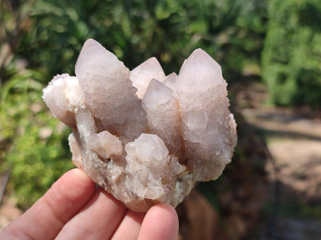 Natural Lilac Spirit Amethyst Clusters x 6 From Boekenhouthoek, South Africa - Toprock Gemstones and Minerals 