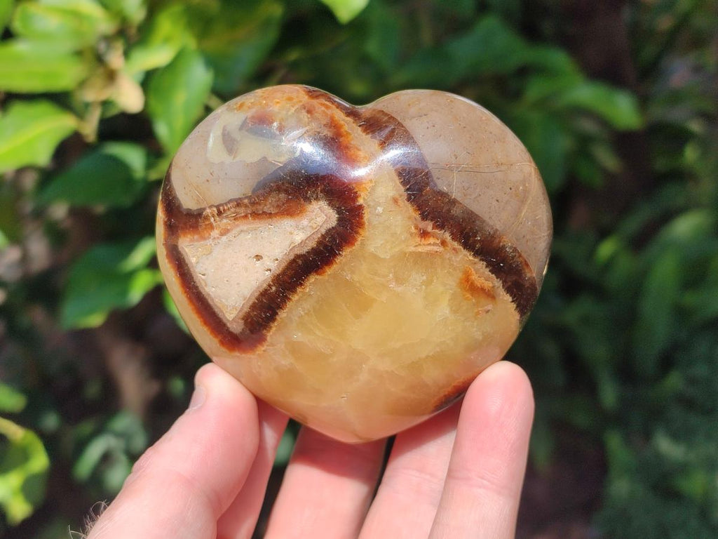 Polished Septerye Hearts x 6 From Mahajanga, Madagascar - Toprock Gemstones and Minerals 
