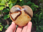 Polished Septerye Hearts x 6 From Mahajanga, Madagascar - Toprock Gemstones and Minerals 