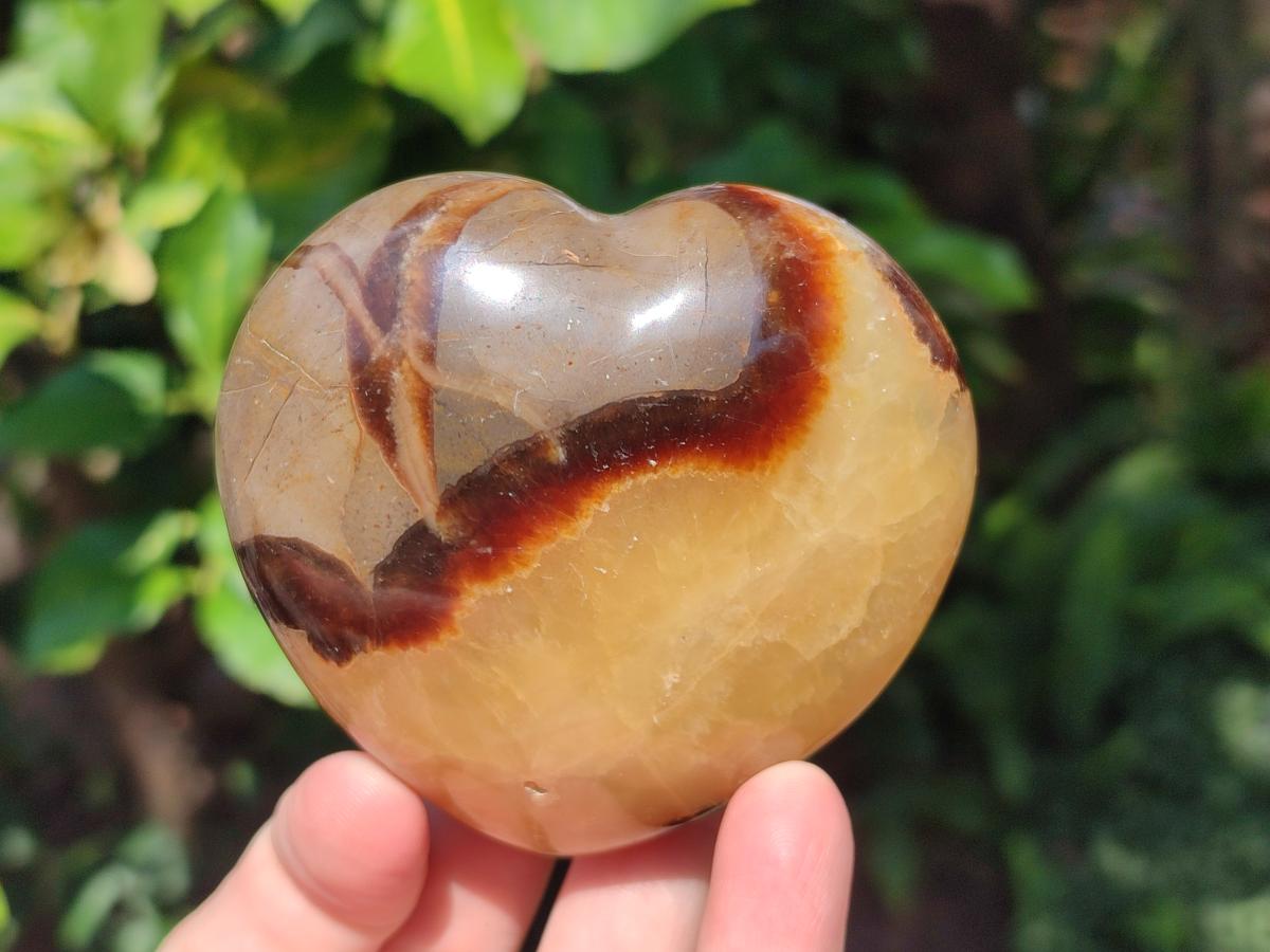 Polished Septerye Hearts x 6 From Mahajanga, Madagascar - Toprock Gemstones and Minerals 