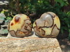Polished Septerye Hearts x 6 From Mahajanga, Madagascar - Toprock Gemstones and Minerals 