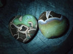 Polished Septerye Hearts x 6 From Mahajanga, Madagascar - Toprock Gemstones and Minerals 