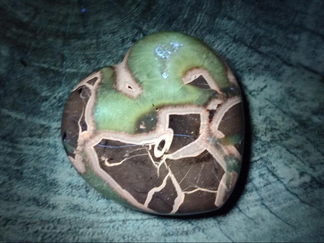 Polished Septerye Hearts x 6 From Mahajanga, Madagascar