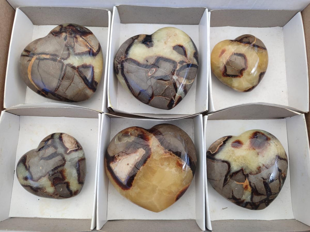 Polished Septerye Hearts x 6 From Mahajanga, Madagascar - Toprock Gemstones and Minerals 