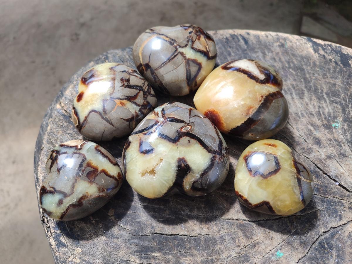 Polished Septerye Hearts x 6 From Mahajanga, Madagascar - Toprock Gemstones and Minerals 