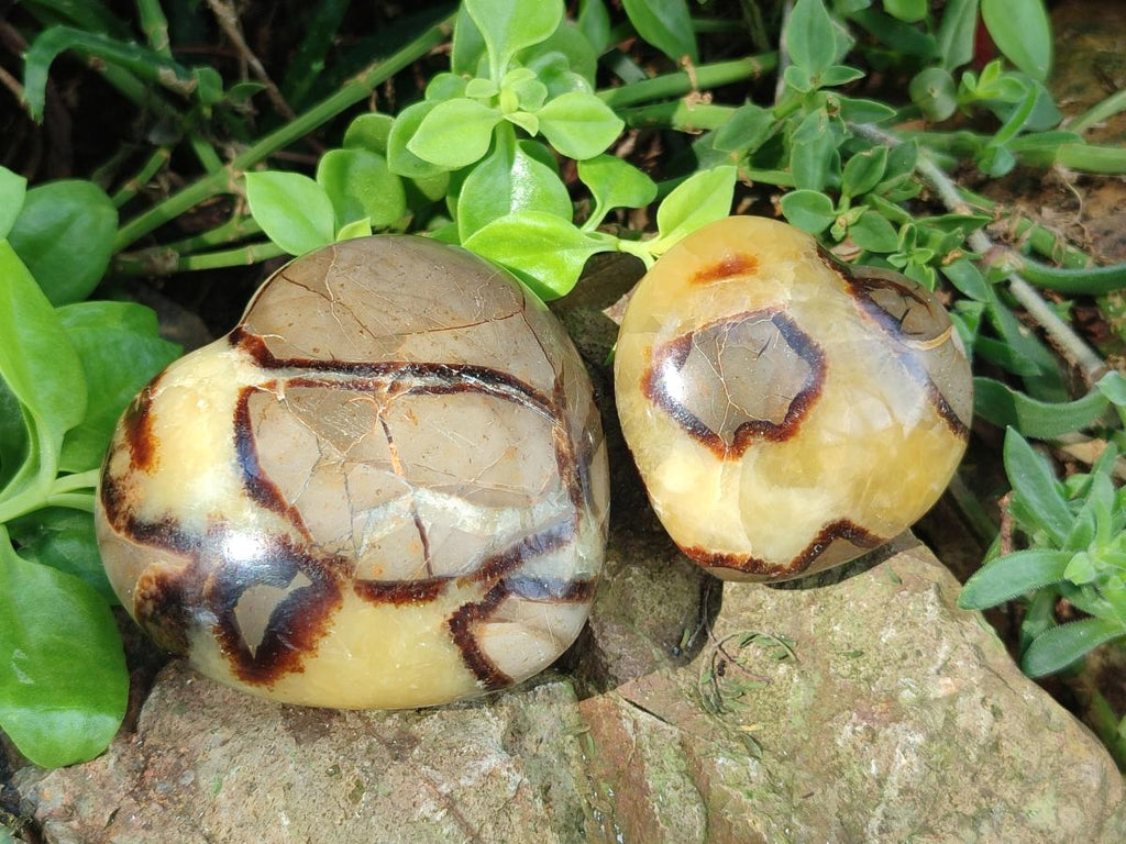 Polished Septerye Hearts x 6 From Mahajanga, Madagascar - Toprock Gemstones and Minerals 