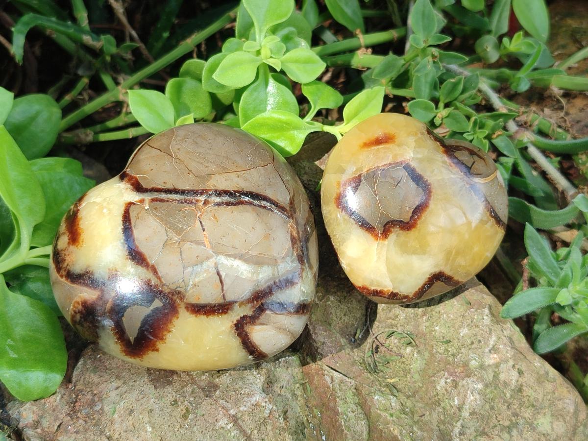Polished Septerye Hearts x 6 From Mahajanga, Madagascar - Toprock Gemstones and Minerals 