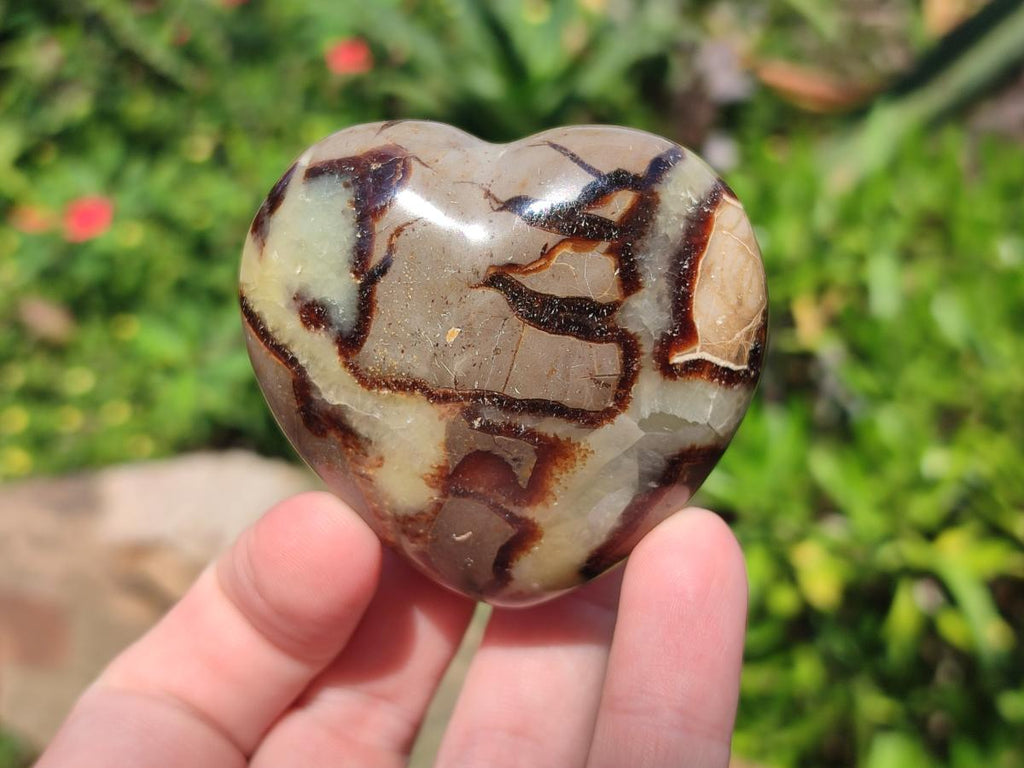 Polished Septerye Hearts x 6 From Mahajanga, Madagascar - Toprock Gemstones and Minerals 