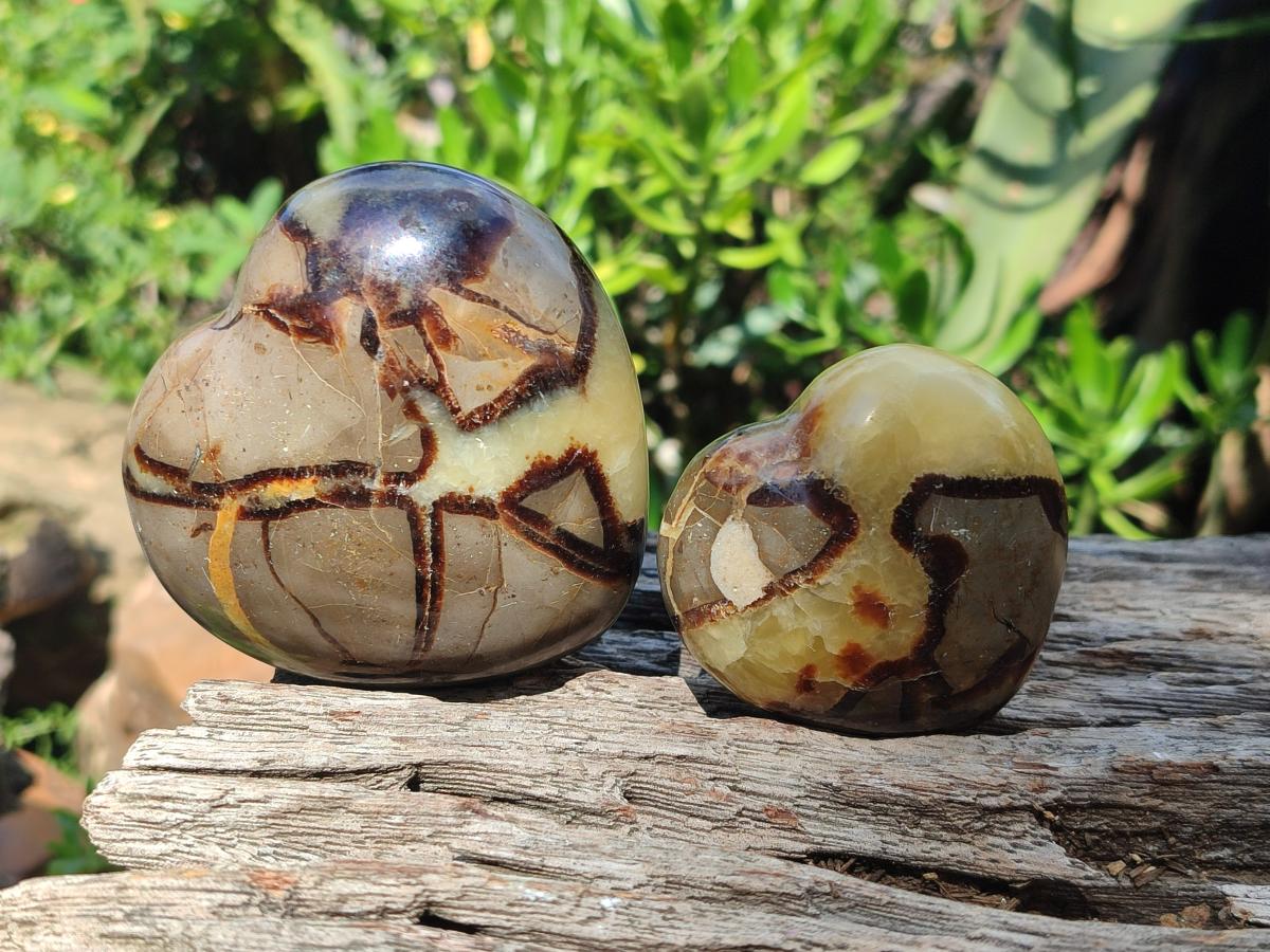 Polished Septerye Hearts x 6 From Mahajanga, Madagascar - Toprock Gemstones and Minerals 