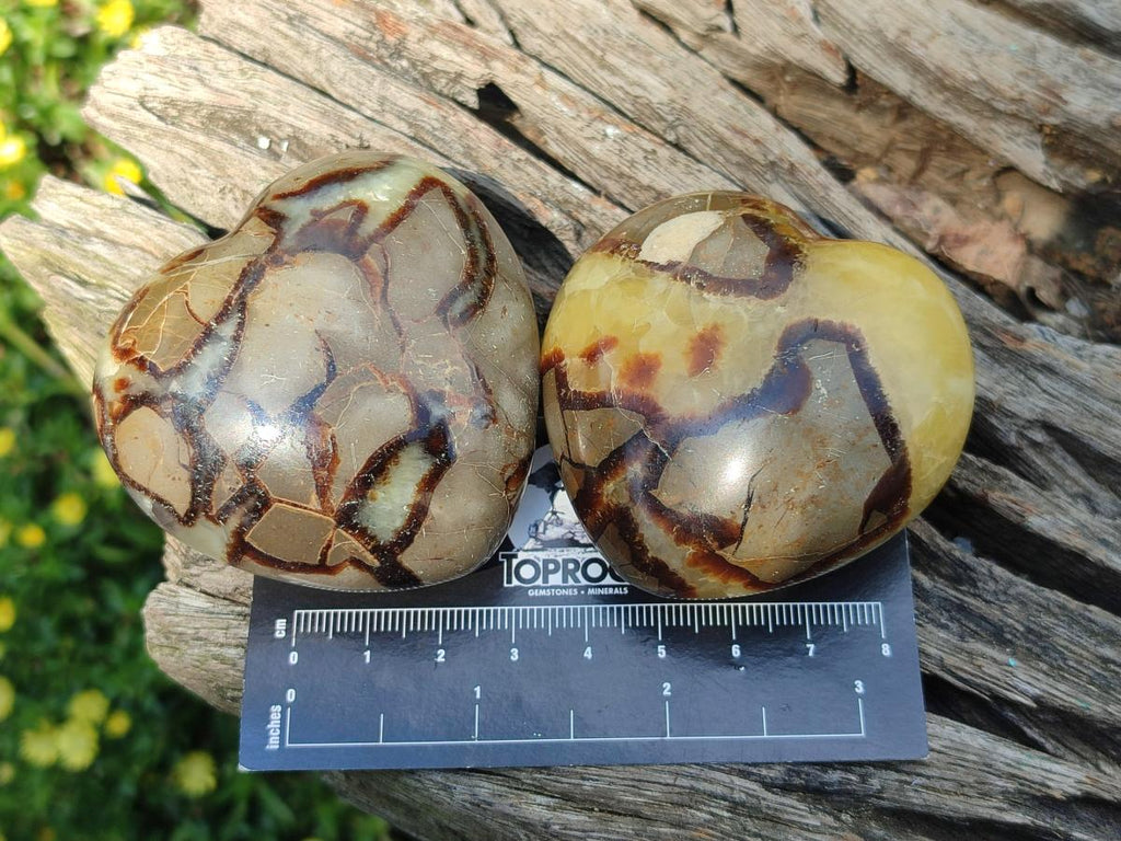 Polished Septerye Hearts x 6 From Mahajanga, Madagascar - Toprock Gemstones and Minerals 