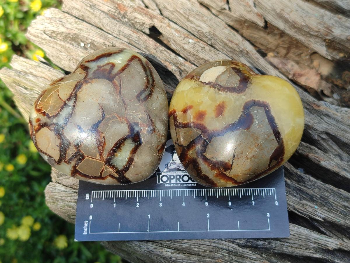Polished Septerye Hearts x 6 From Mahajanga, Madagascar - Toprock Gemstones and Minerals 