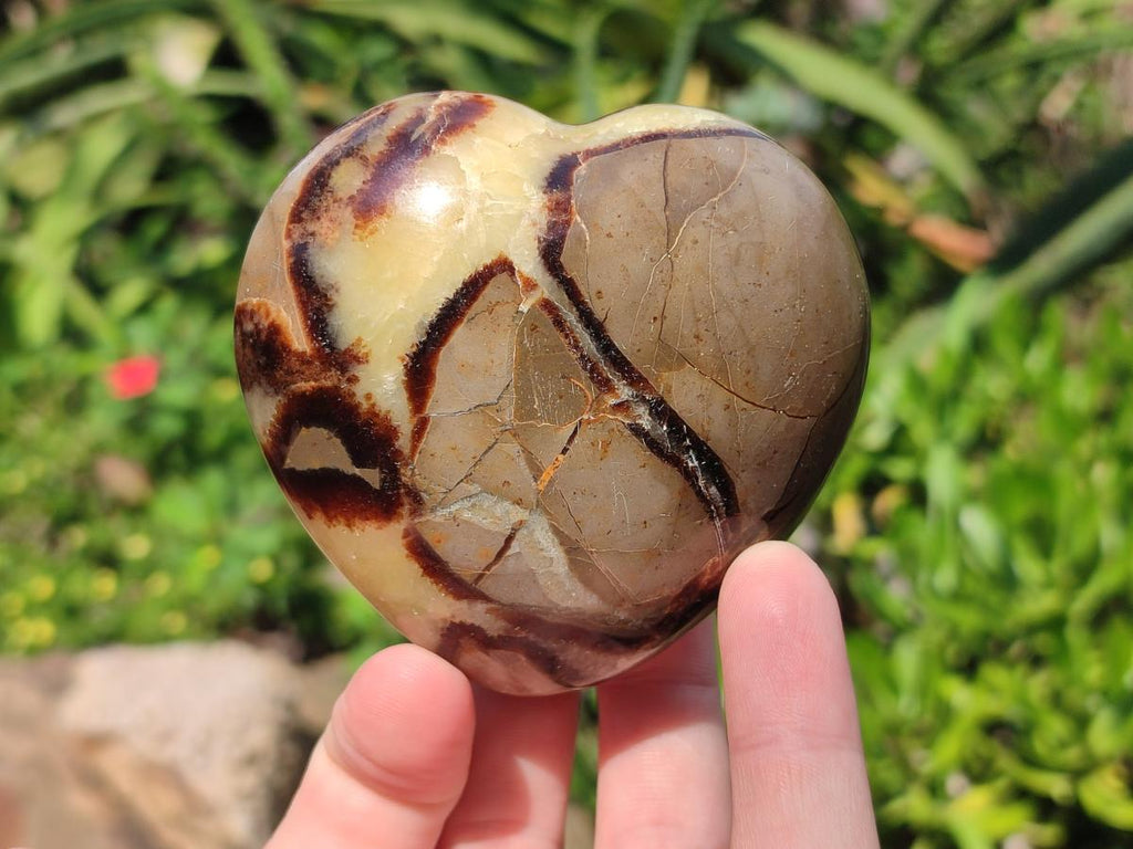 Polished Septerye Hearts x 6 From Mahajanga, Madagascar - Toprock Gemstones and Minerals 
