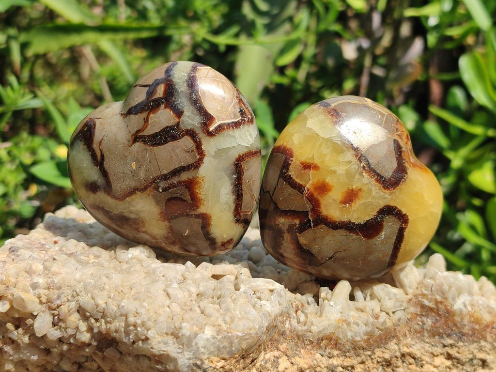Polished Septerye Hearts x 6 From Mahajanga, Madagascar - Toprock Gemstones and Minerals 