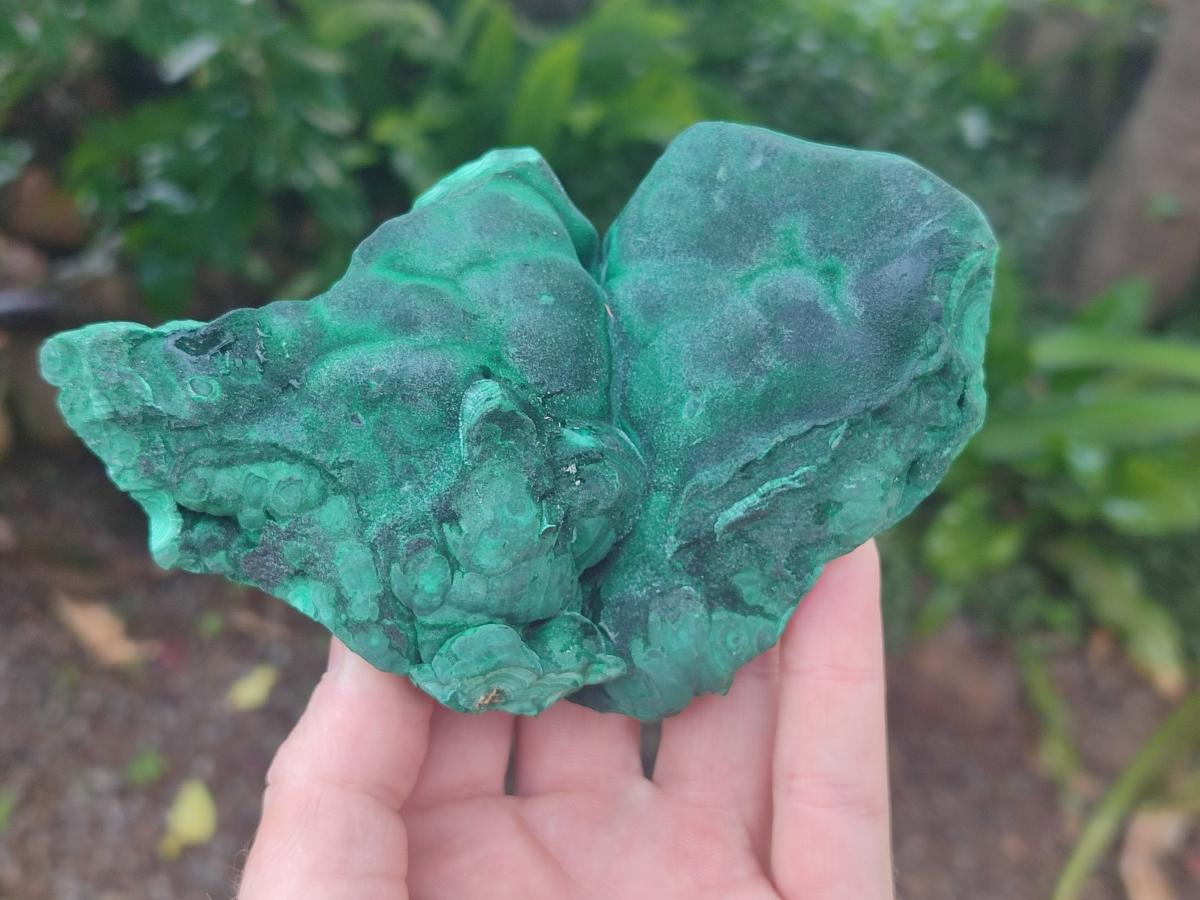 Natural Botryoidal Malachite Specimens x 3 From Congo
