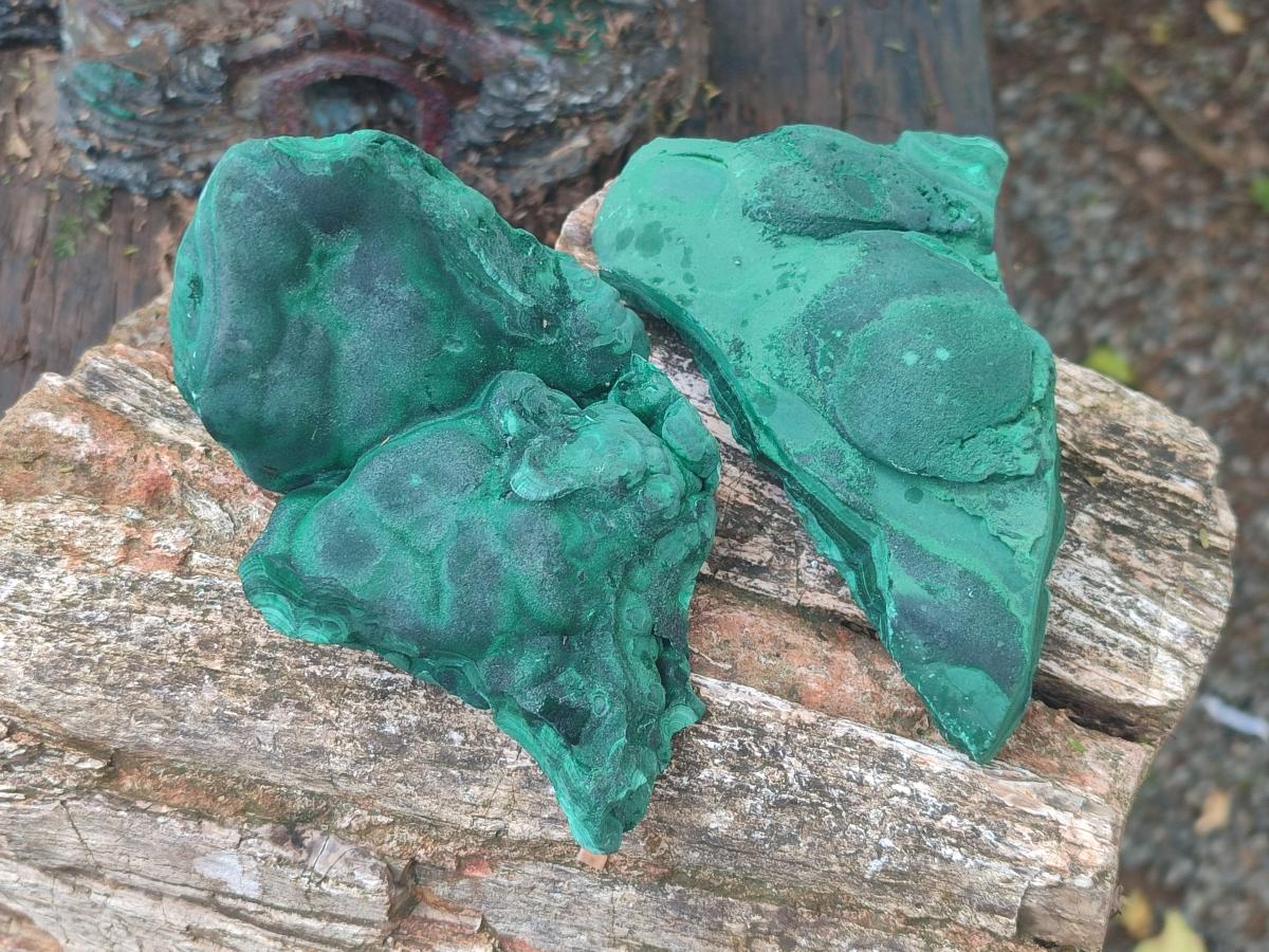 Natural Botryoidal Malachite Specimens x 3 From Congo - Toprock Gemstones and Minerals 