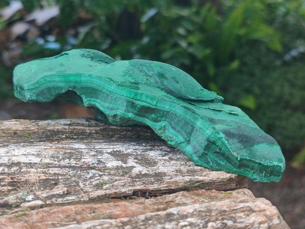 Natural Botryoidal Malachite Specimens x 3 From Congo - Toprock Gemstones and Minerals 
