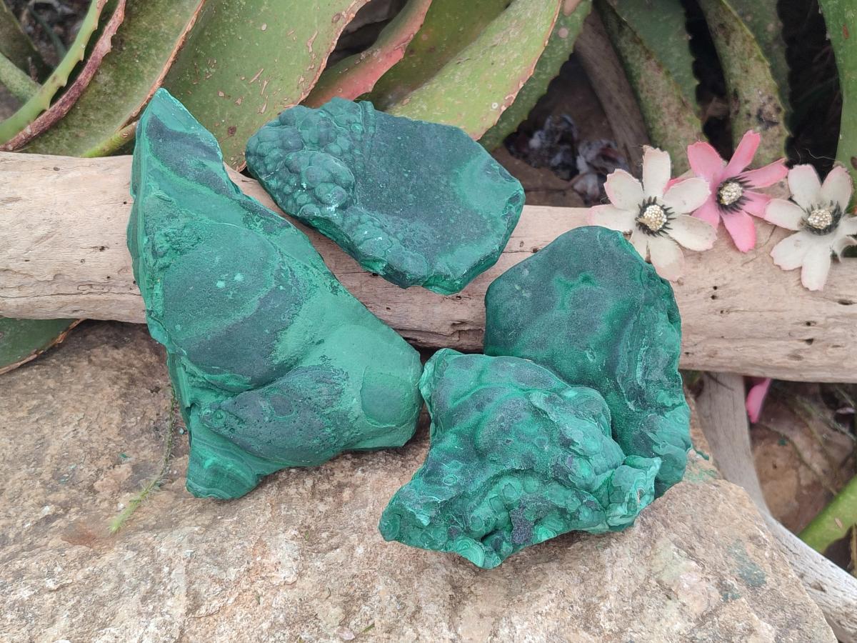 Natural Botryoidal Malachite Specimens x 3 From Congo - Toprock Gemstones and Minerals 