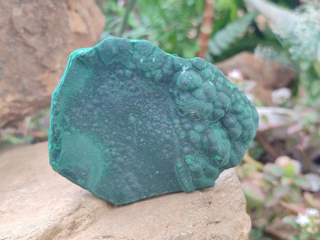 Natural Botryoidal Malachite Specimens x 3 From Congo - Toprock Gemstones and Minerals 