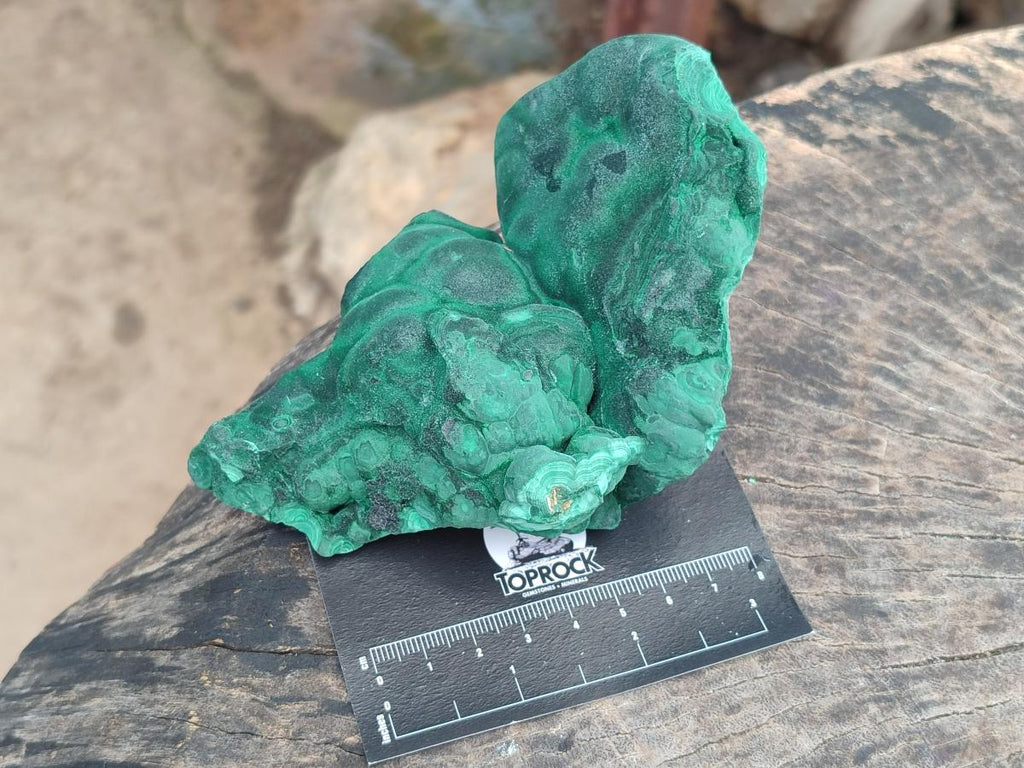 Natural Botryoidal Malachite Specimens x 3 From Congo - Toprock Gemstones and Minerals 