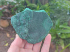 Natural Botryoidal Malachite Specimens x 3 From Congo - Toprock Gemstones and Minerals 