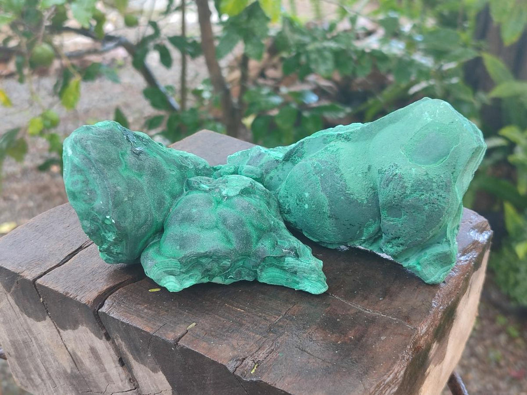 Natural Botryoidal Malachite Specimens x 3 From Congo - Toprock Gemstones and Minerals 