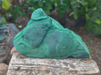 Natural Botryoidal Malachite Specimens x 3 From Congo - Toprock Gemstones and Minerals 