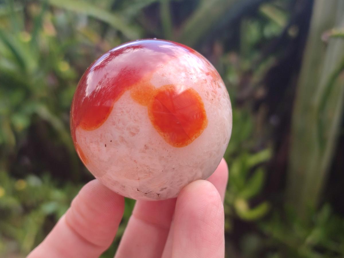 Polished Carnelian Agate Gemstone Spheres x 6 From Madagascar - Toprock Gemstones and Minerals 