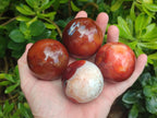 Polished Carnelian Agate Gemstone Spheres x 6 From Madagascar - Toprock Gemstones and Minerals 