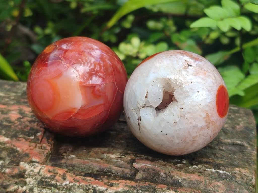 Polished Carnelian Agate Gemstone Spheres x 6 From Madagascar - Toprock Gemstones and Minerals 