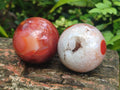 Polished Carnelian Agate Gemstone Spheres x 6 From Madagascar - Toprock Gemstones and Minerals 