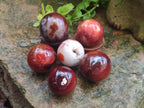 Polished Carnelian Agate Gemstone Spheres x 6 From Madagascar - Toprock Gemstones and Minerals 