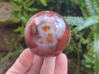 Polished Carnelian Agate Gemstone Spheres x 6 From Madagascar - Toprock Gemstones and Minerals 