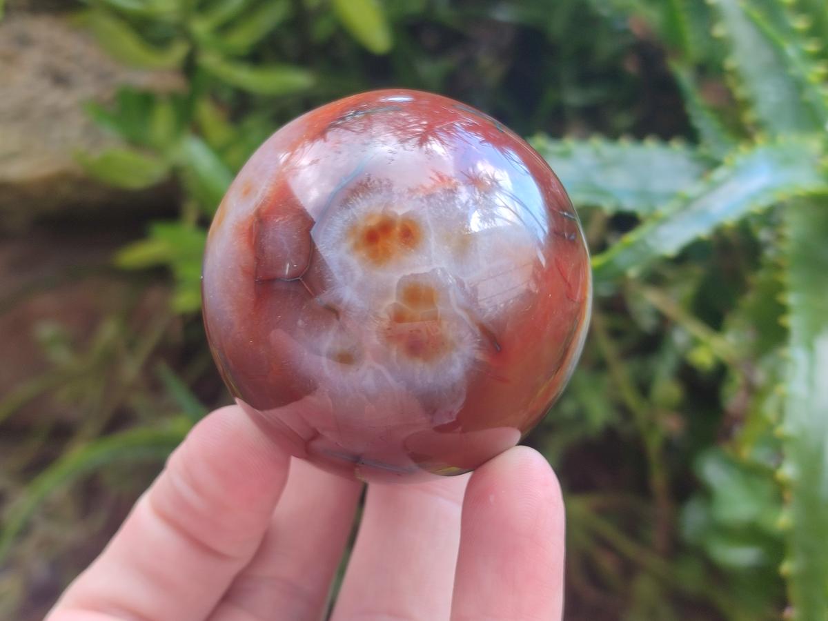 Polished Carnelian Agate Gemstone Spheres x 6 From Madagascar - Toprock Gemstones and Minerals 