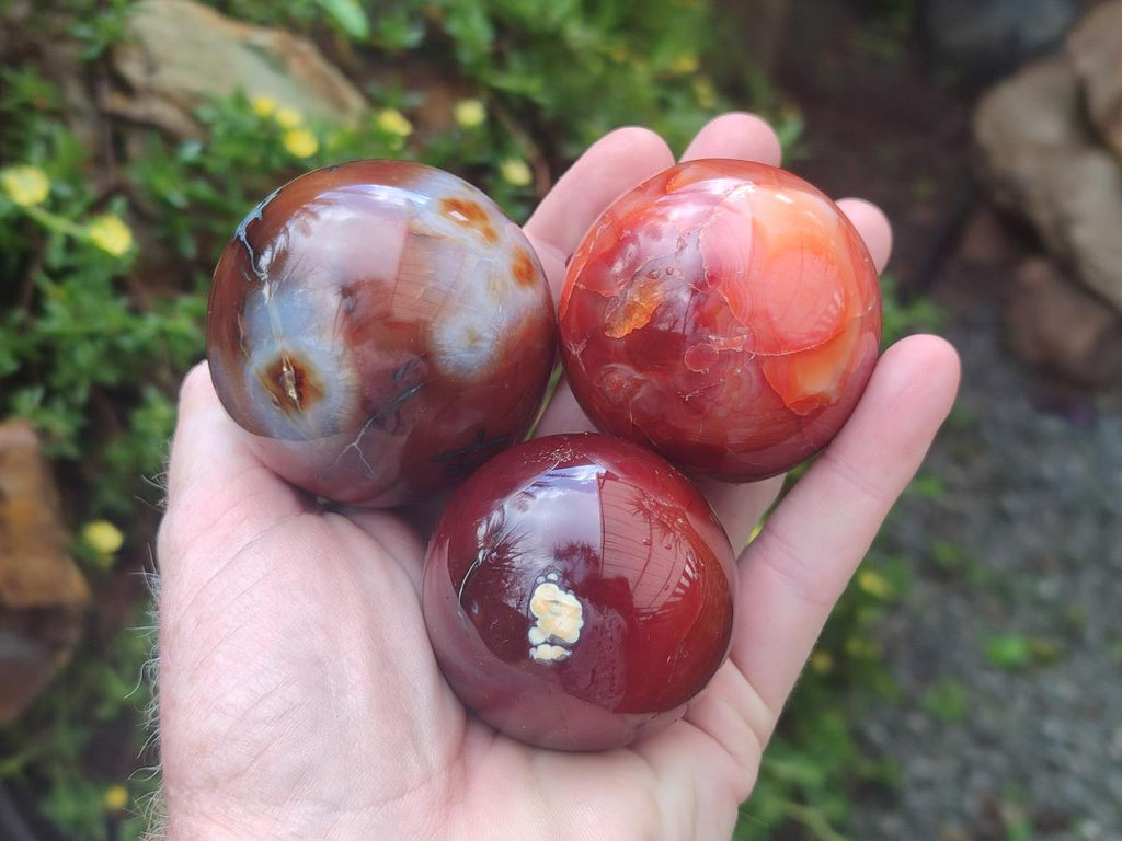 Polished Carnelian Agate Gemstone Spheres x 6 From Madagascar - Toprock Gemstones and Minerals 