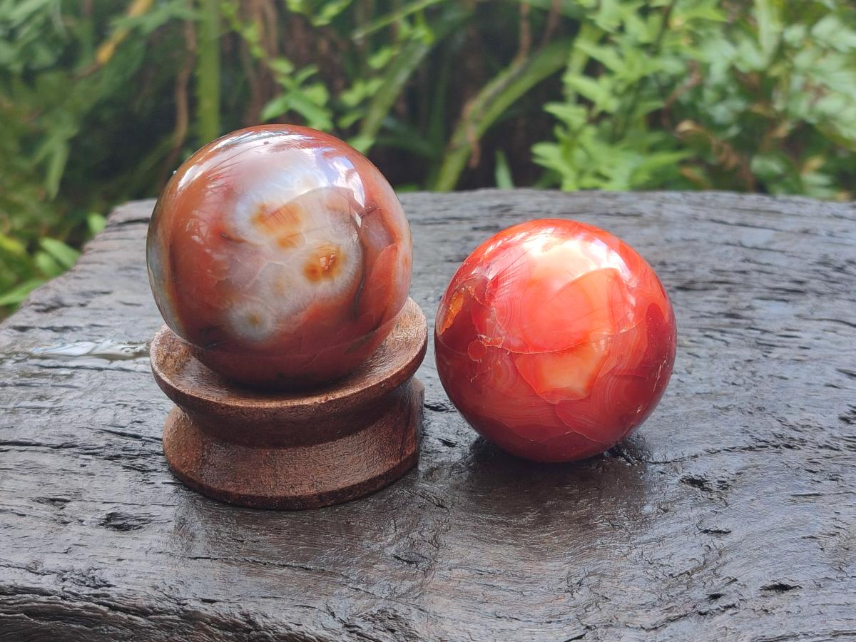 Polished Carnelian Agate Gemstone Spheres x 6 From Madagascar - Toprock Gemstones and Minerals 