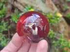 Polished Carnelian Agate Gemstone Spheres x 6 From Madagascar - Toprock Gemstones and Minerals 