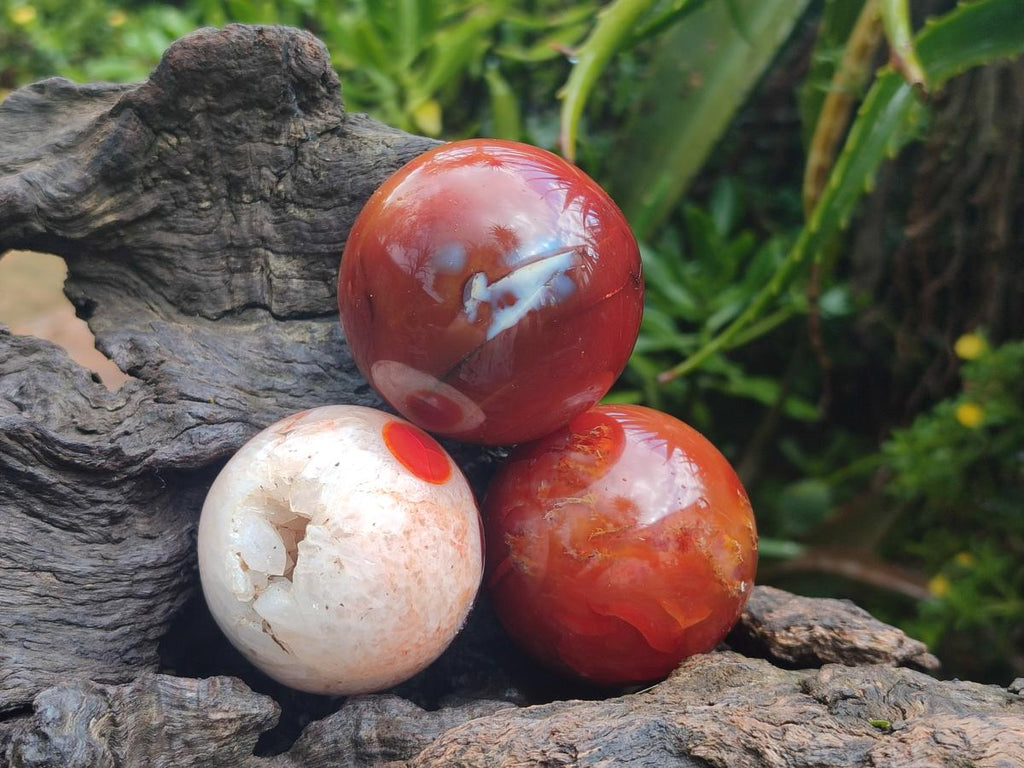 Polished Carnelian Agate Gemstone Spheres x 6 From Madagascar - Toprock Gemstones and Minerals 