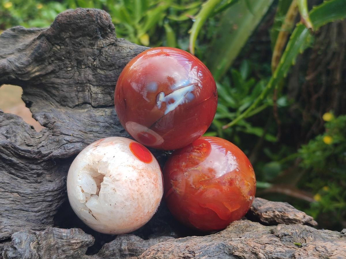 Polished Carnelian Agate Gemstone Spheres x 6 From Madagascar - Toprock Gemstones and Minerals 