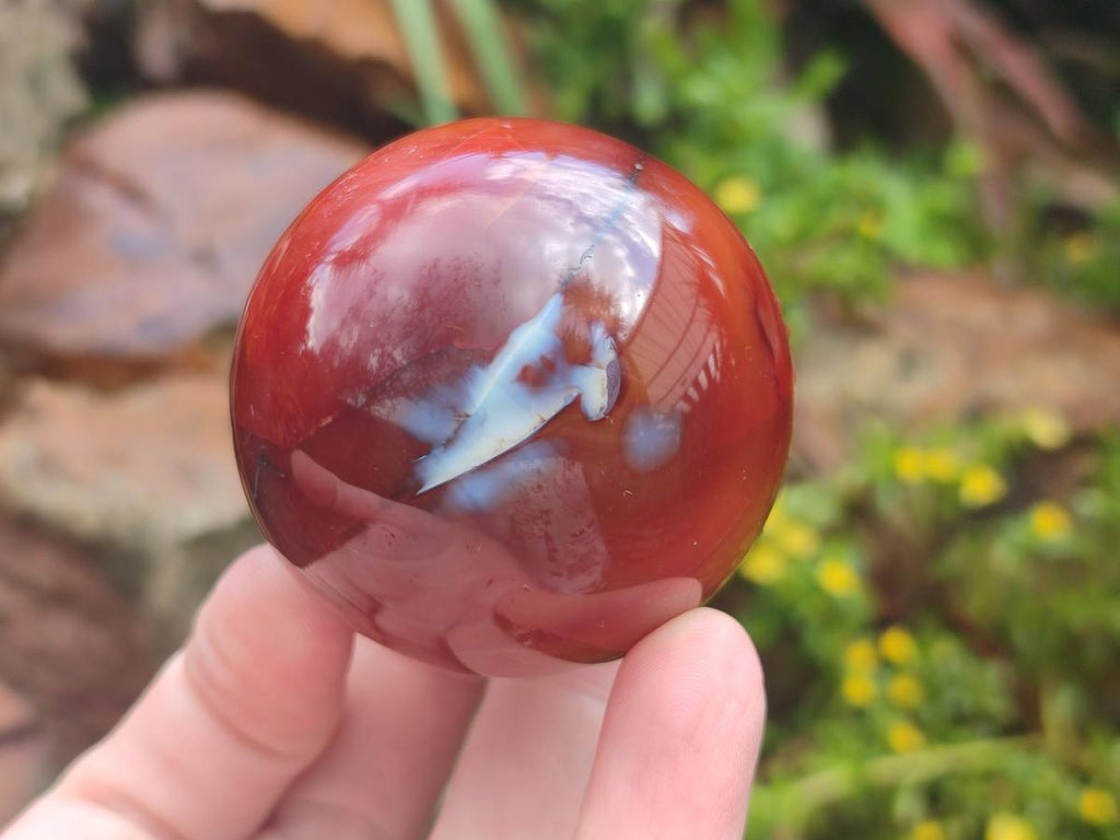 Polished Carnelian Agate Gemstone Spheres x 6 From Madagascar - Toprock Gemstones and Minerals 