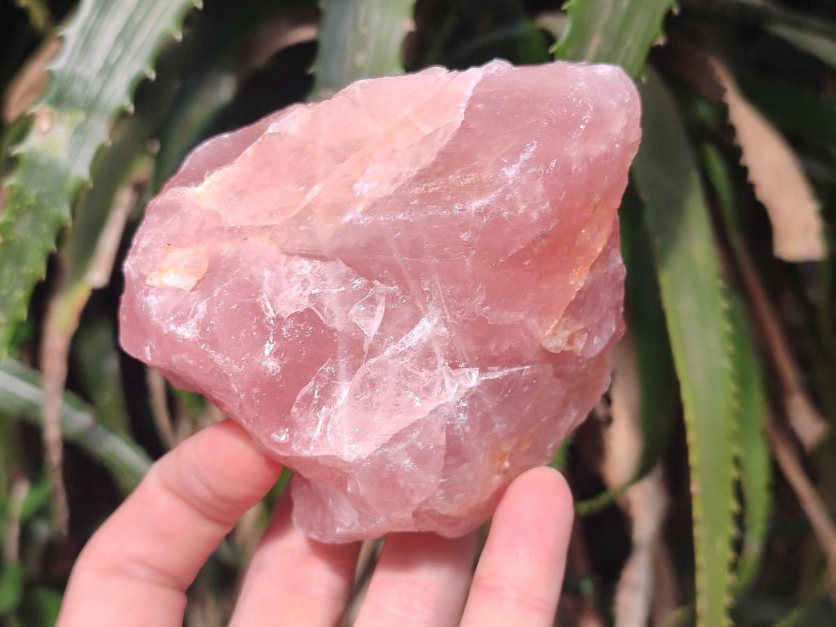 Natural Large Cobbed Rose Quartz Specimens x 12 From Northern Cape, South Africa - Toprock Gemstones and Minerals 