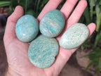 Polished Amazonite Palm Stones x 24 From Madagascar - Toprock Gemstones and Minerals 